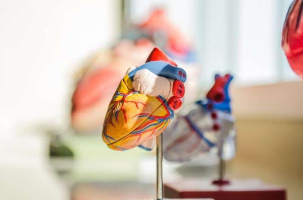 视频:创新如何改变心脏移植