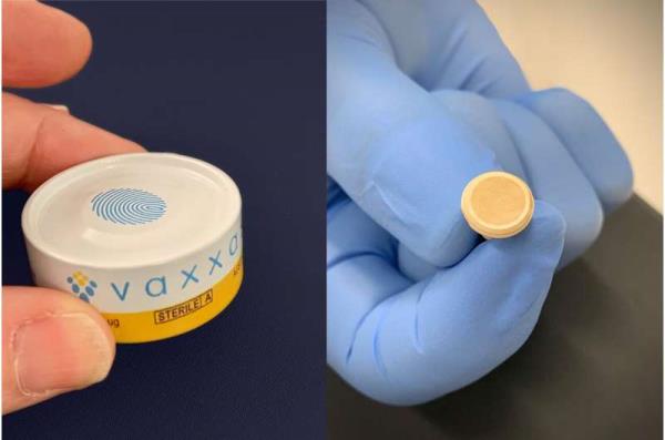 无针疫苗贴片在临床前试验中提供对寨卡病毒的保护